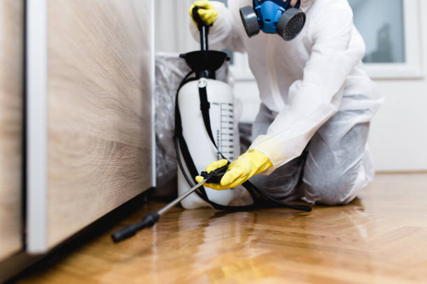 Best Best Pest Control Companies  in Kearny, AZ