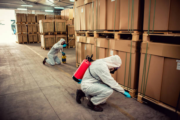Best Residential Pest Control  in Kearny, AZ