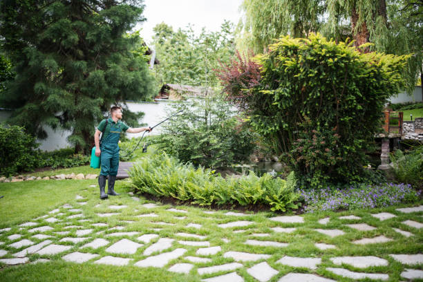 Best Pest Inspection Near Me  in Kearny, AZ