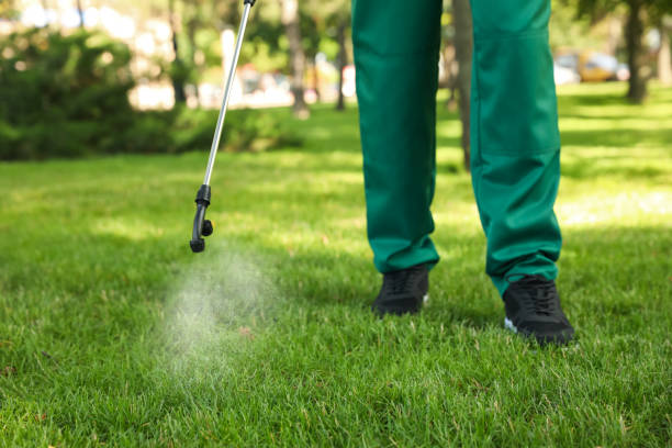 Best Insect Control  in Kearny, AZ