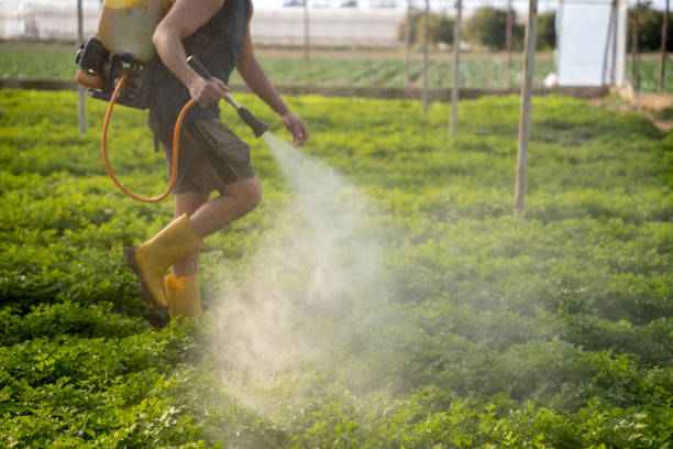 Pest Control Cost in Kearny, AZ