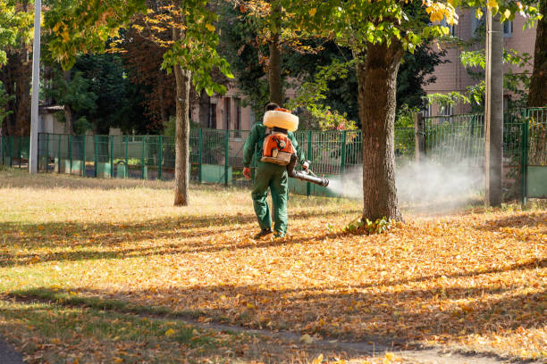 Professional Pest Control in Kearny, AZ