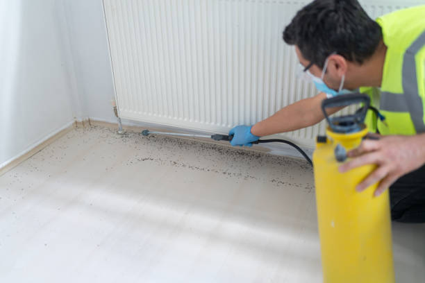 Professional Pest Control in Kearny, AZ