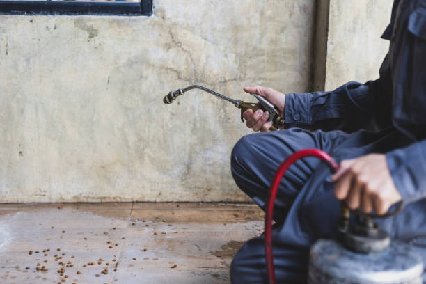 Best Ant Control Services  in Kearny, AZ
